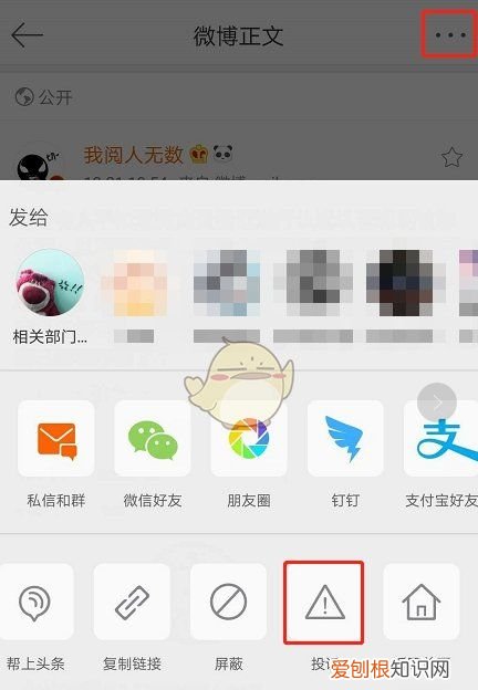 如何举报拉黑的人,手机微博怎么举报别人
