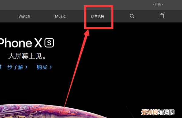苹果官网序列号查询，苹果官网怎么样查序列号