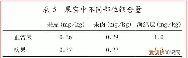 柑橘外皮发霉里面能吃吗?