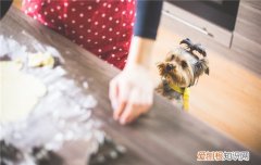9个月宝宝睡觉一直哭怎么回事 ，9个月宝宝睡觉总哭