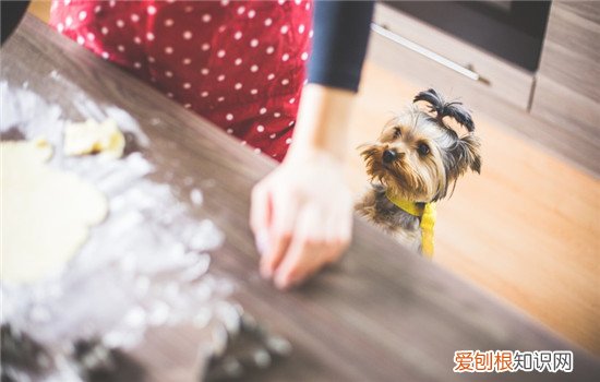 9个月宝宝睡觉一直哭怎么回事 ，9个月宝宝睡觉总哭