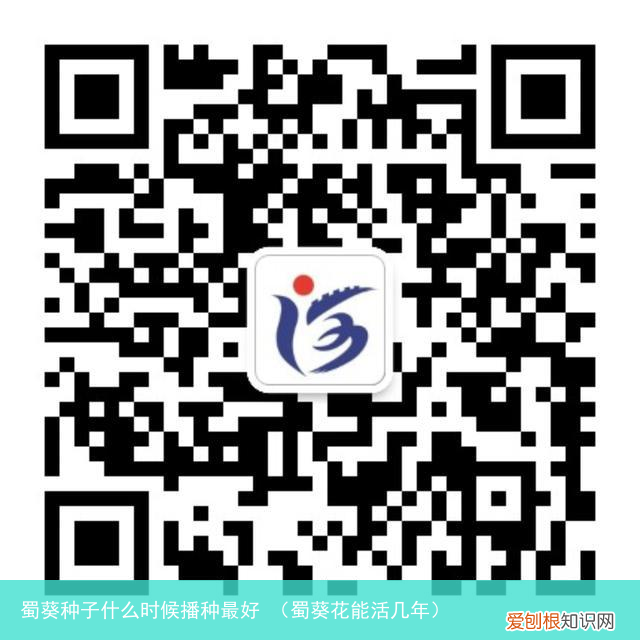蜀葵花能活几年 蜀葵种子什么时候播种最好