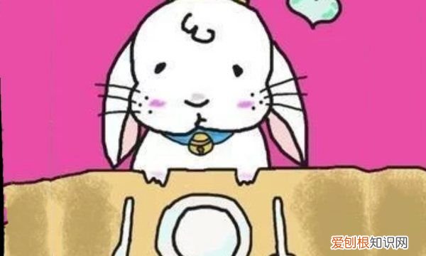 减肥晚上不吃饭饿了怎么办,减肥的时候晚上肚子饿怎么办