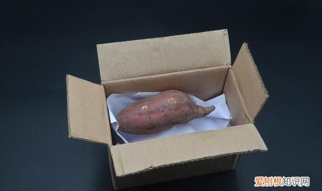保存红薯是用纸箱好还是泡沫箱好