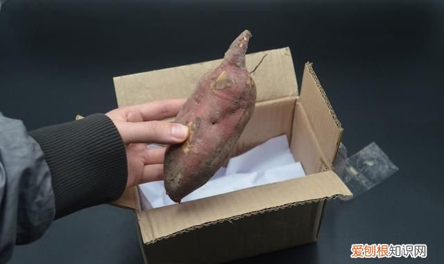 保存红薯是用纸箱好还是泡沫箱好