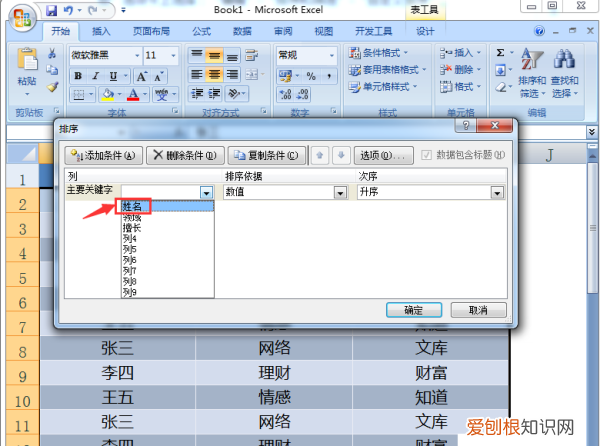 按姓氏排序excel怎么设置
