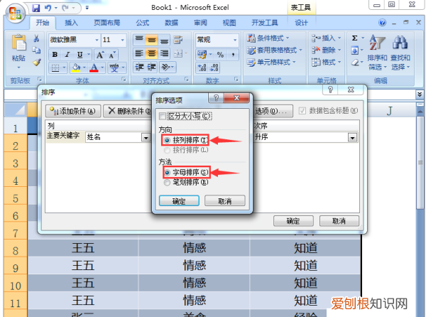 按姓氏排序excel怎么设置