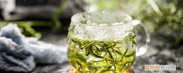 菊花与茶叶一起泡可以吗 菊花能不能和茶叶一起泡吗