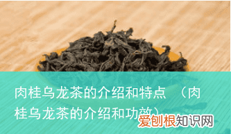 肉桂乌龙茶的介绍和功效 肉桂乌龙茶的介绍和特点