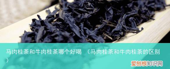 马肉桂茶和牛肉桂茶的区别 马肉桂茶和牛肉桂茶哪个好喝