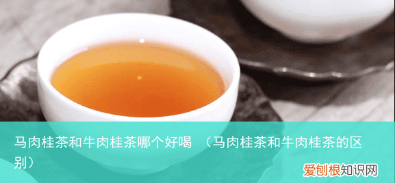 马肉桂茶和牛肉桂茶的区别 马肉桂茶和牛肉桂茶哪个好喝