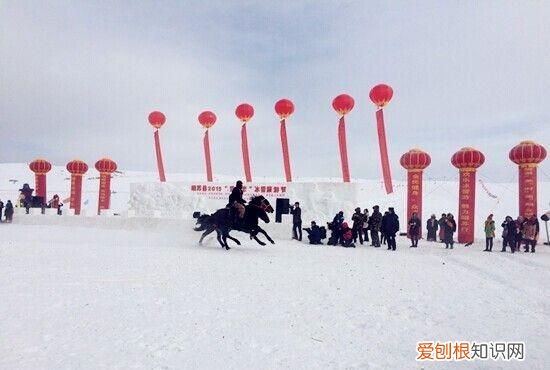 新疆冰雪旅游 新疆冰雪世界