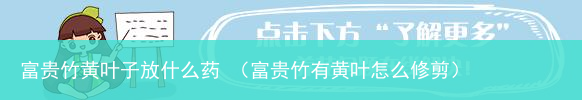 富贵竹有黄叶怎么修剪 富贵竹黄叶子放什么药