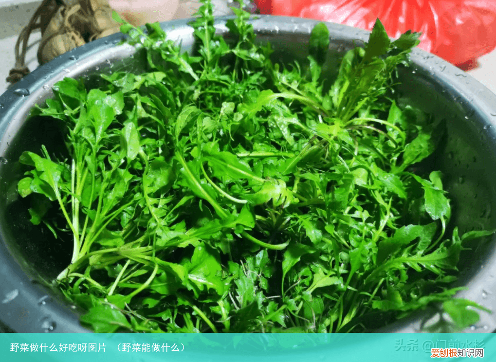 野菜能做什么 野菜做什么好吃呀图片