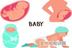 试管婴儿移植30天出血怎么回事 ，试管婴儿30天流血怎么办