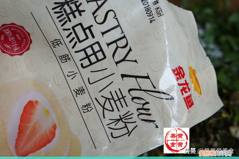 荠菜做什么菜好吃 荠菜做什么最好吃又简单