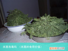 米蒿的食用价值 米蒿有毒吗