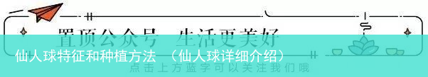 仙人球详细介绍 仙人球特征和种植方法