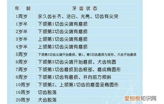 狗狗年龄怎么判断 怎么判断狗的年龄?