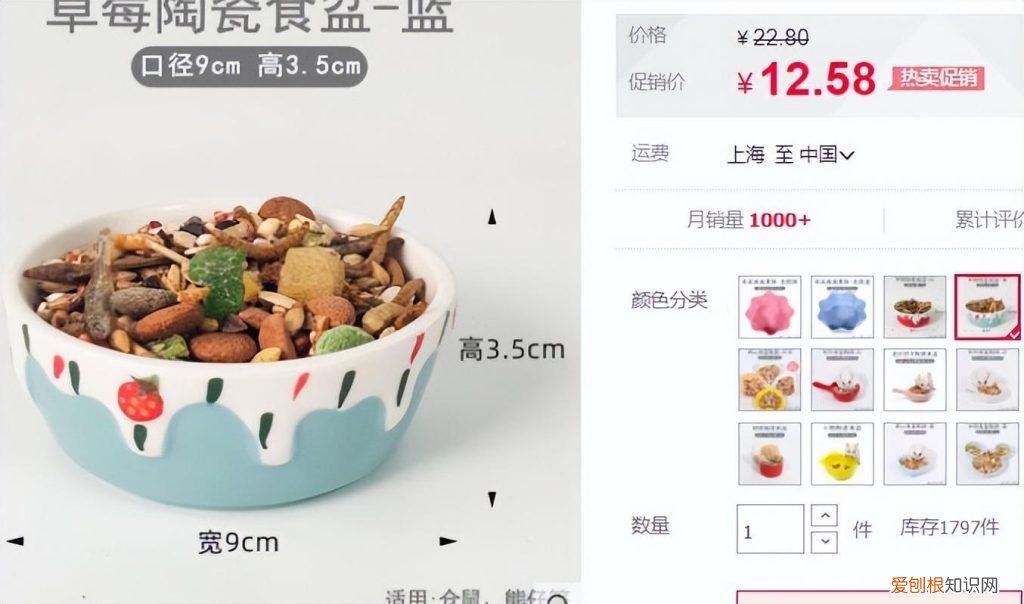 新手养仓鼠小知识 对于新手怎样养活仓鼠