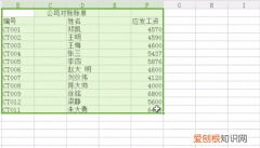 如何快速查找两张表格的不同数据
