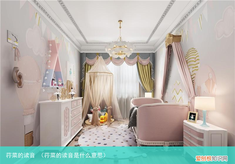 荇菜的读音是什么意思 荇菜的读音