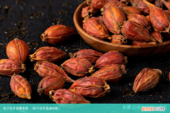 栀子花开是谁的歌 栀子花开是哪首歌