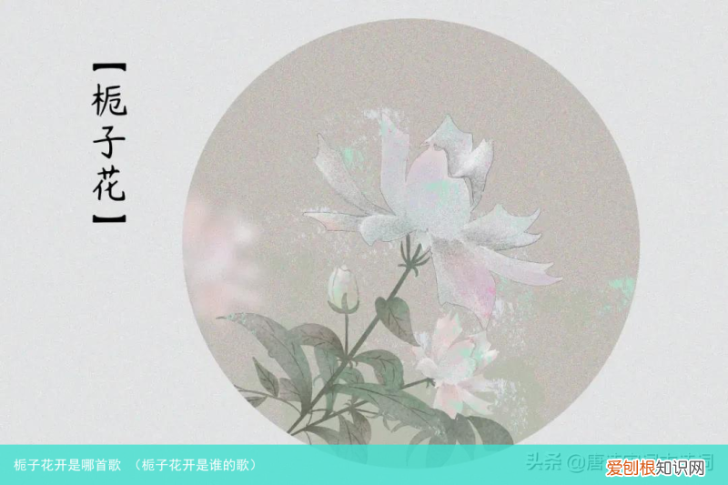 栀子花开是谁的歌 栀子花开是哪首歌