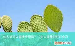 仙人掌是否可以食用 仙人掌可以直接食用吗?