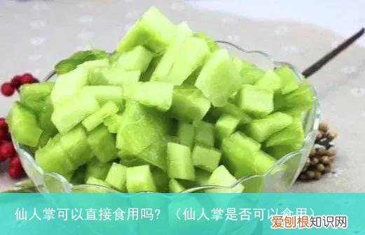 仙人掌是否可以食用 仙人掌可以直接食用吗?