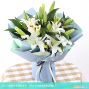 百合花的颜色寓意及象征 百合花的颜色有哪些寓意