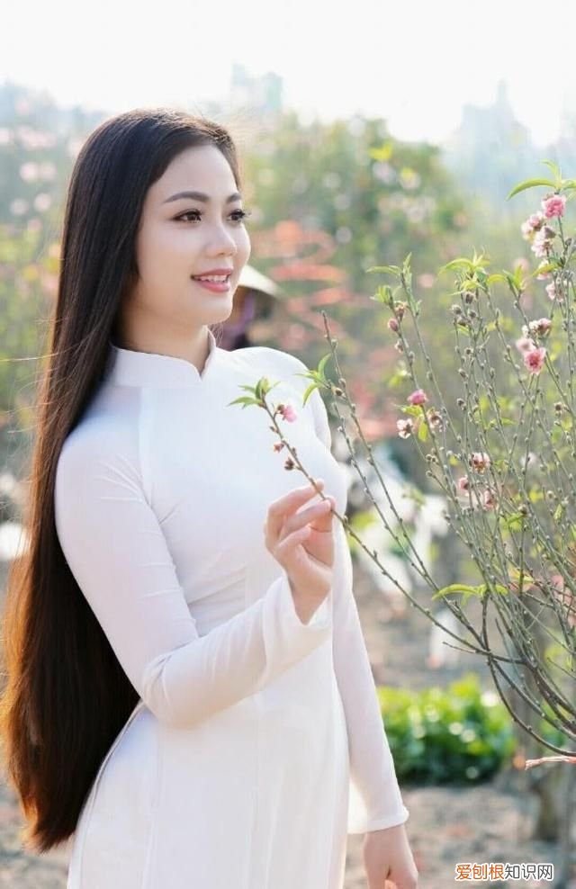 白露什么意思啊? 白露是什么季节,是几月几日