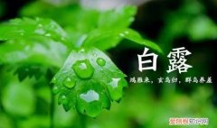 白露什么意思啊? 白露是什么季节,是几月几日