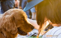 狗妈妈一直认识孩子吗图片 狗妈妈一直认识孩子吗