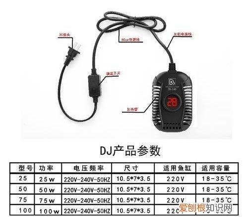 养龟的鱼缸 龟缸适合养什么