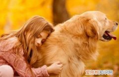 狗一辈子认几个主人 狗一生认几个主人