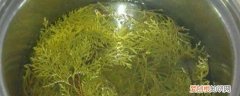 松树枝子熬水的功效 松树枝煮水有什么功效