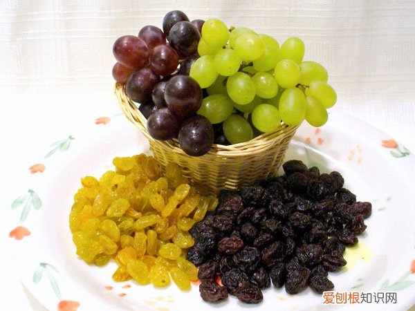 狗狗提子能吃吗 狗狗可以吃提子吗