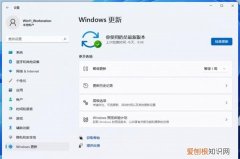 win10 21h1怎么更新，win1021h1怎么禁止更新
