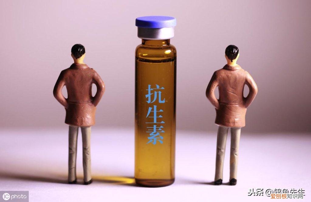 乌龟水霉病如何治疗好 ，乌龟水霉病如何治疗方法？