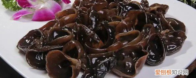 木耳可以和什么吃 木耳不能和什么吃