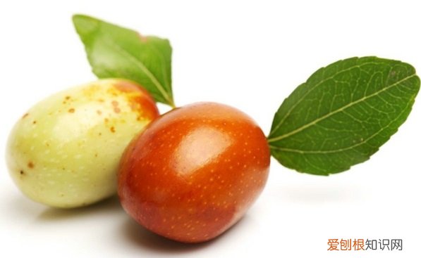 狗狗可以吃枣吗 狗可以吃枣吗