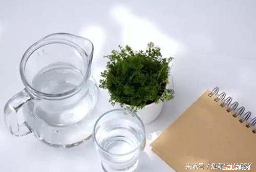 仓鼠喂食什么 ，仓鼠喂他吃什么？