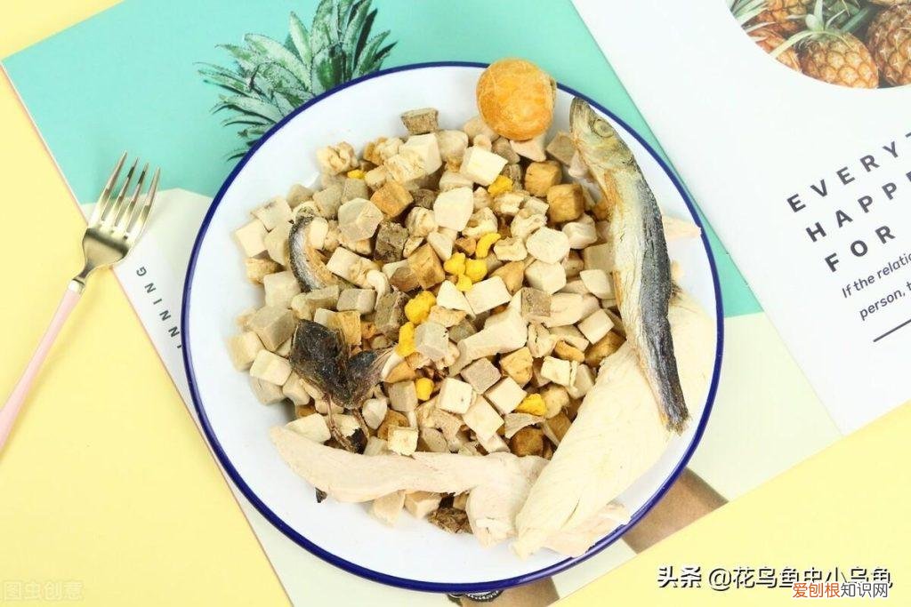 小乌龟吃什么的? ，小乌龟吃啥子呢？