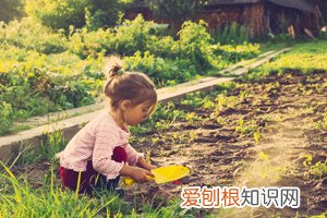 孩子吃啥补维生素，小孩吃什么补维生素快？