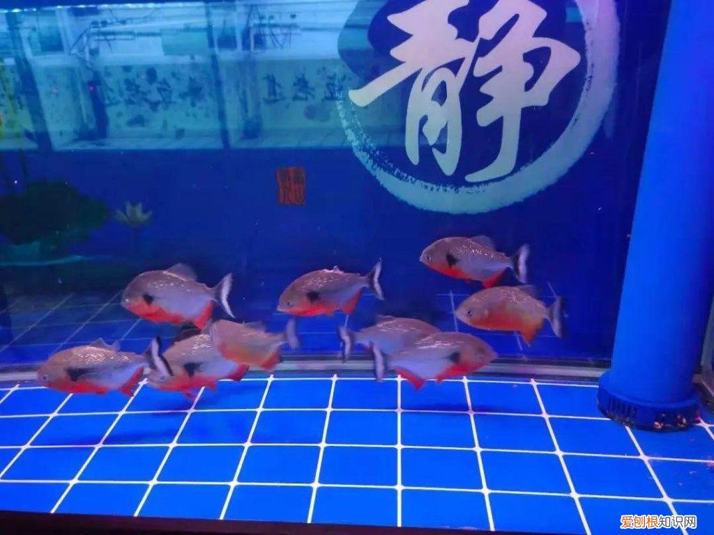 有什么办法可以让男性变大变长 ，有什么办法睡觉不打呼噜？