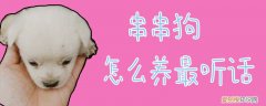 串串狗怎么养最听话，串串狗怎么养最听话可爱