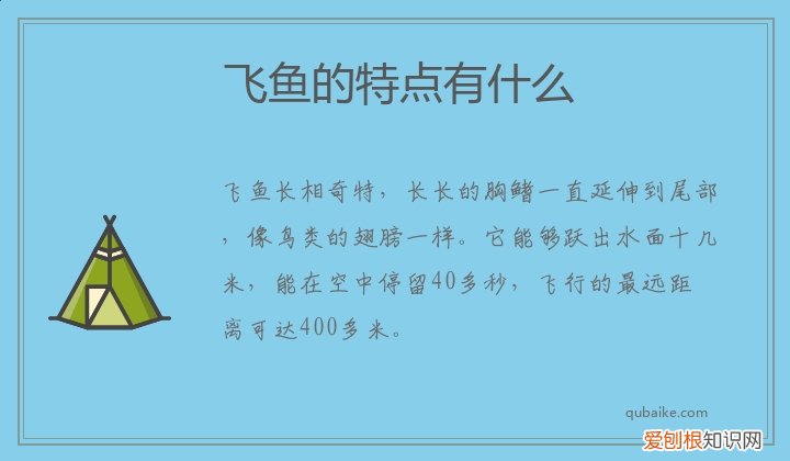 飞鱼的特点有什么，飞鱼的特点有什么作用