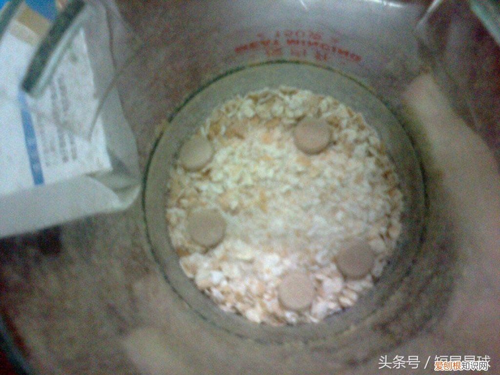 兔子草饼怎么制作方法 ，兔子草饼可以代替草吗？