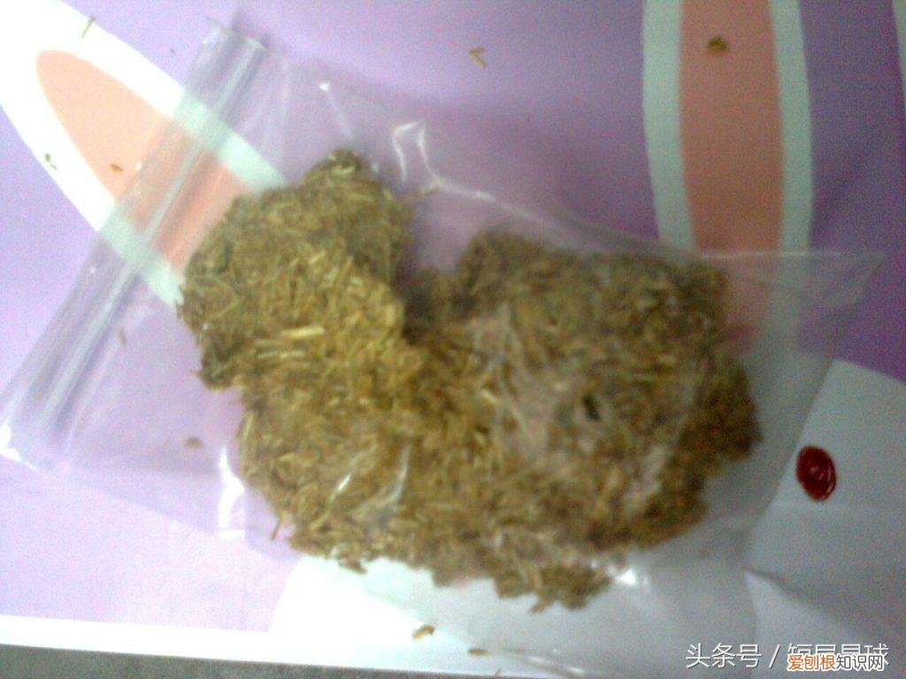 兔子草饼怎么制作方法 ，兔子草饼可以代替草吗？